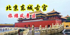 男生操女生骚逼的视频中国北京-东城古宫旅游风景区